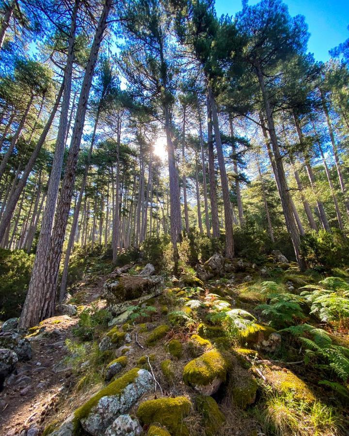Auberge De La Foret Bonifatu Каленцана Экстерьер фото